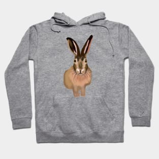 Cute Hare Drawing Hoodie